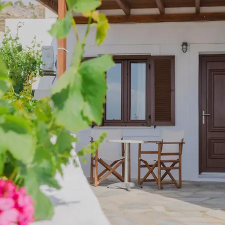 Aparthotel Petros & Naxos City