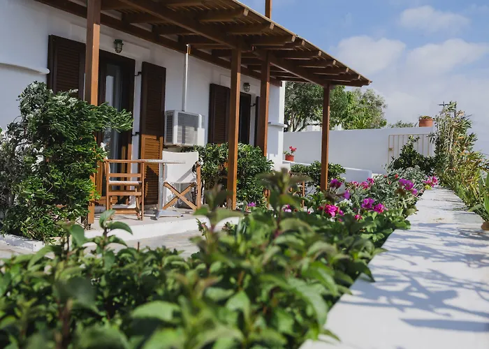 Petros & Aparthotel Naxos City